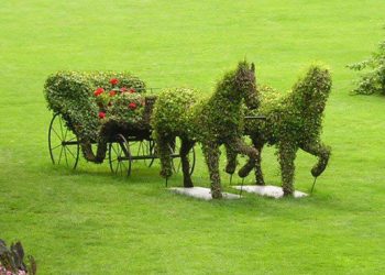 33 кустарника удивительной формы