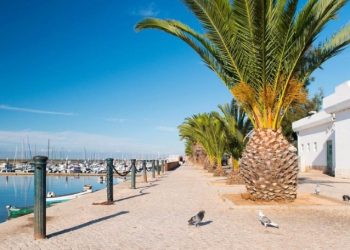 Лучшие места для отдыха с семьей в фотографиях: 20 фото