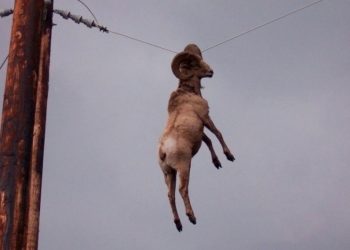 50 фото событий, к которым никто не мог быть готов