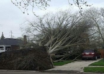 22 фотографии людей, у которых постоянно возникают проблемы