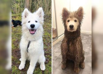 Ожидание-реальность