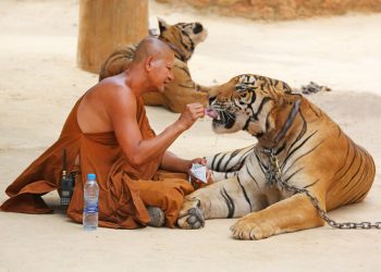 Наш удивительный мир в 30 красочных фотографиях