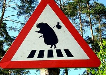 30 очень странных и смешных дорожных знаков, указателей и табличек