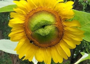 25 потрясающих фотографий, которые врезаются в память