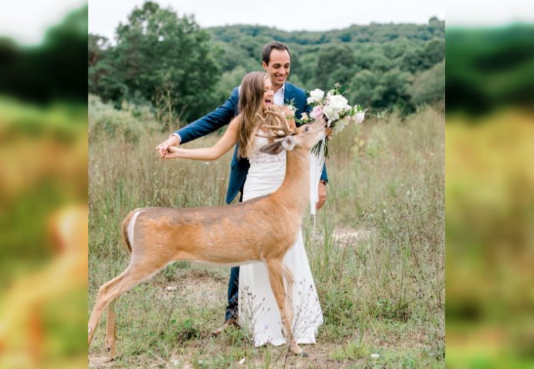 30 курьезных фото, мало похожих на те, которые принято делать на свадебных фотосессиях
